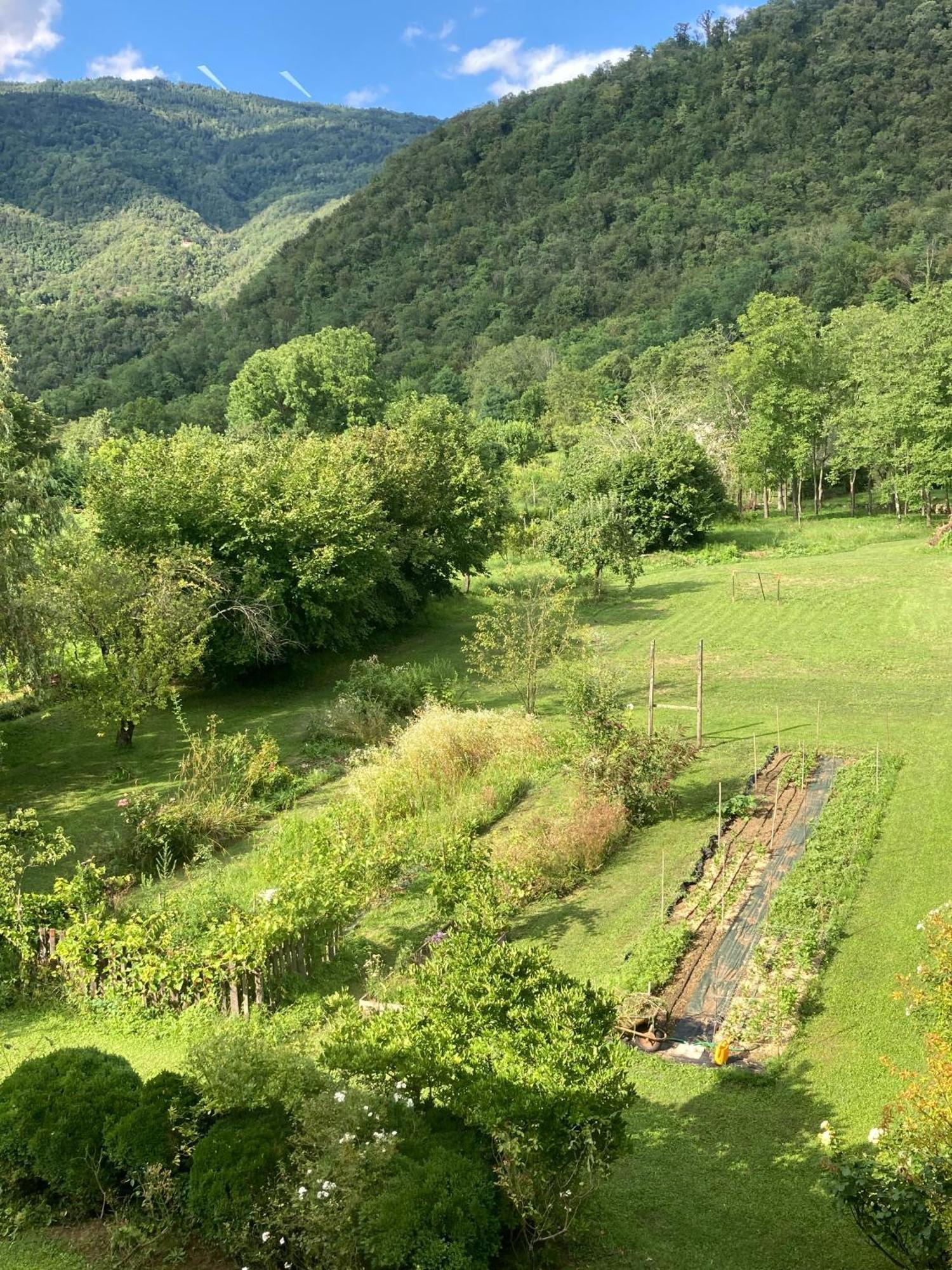 Casa Del Grivo - Alloggio Sole Faedis Bagian luar foto